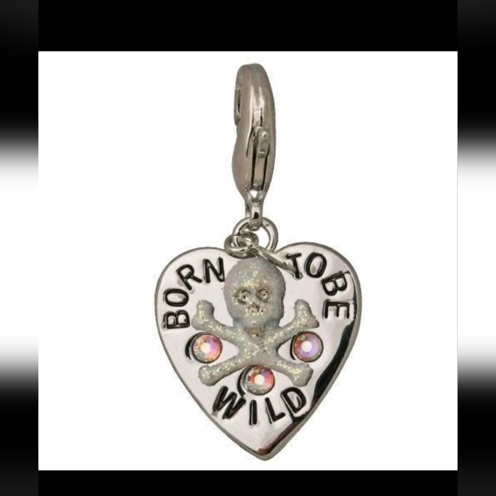 Kirks Folly Best Friend BORN TO BE WILD Skull Add A Charm NEW
